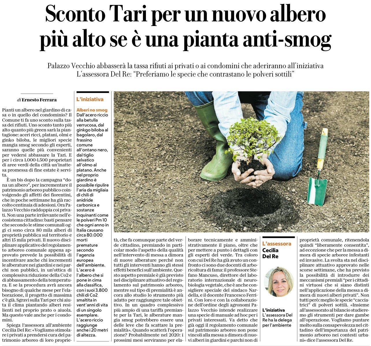 Sconto Tari per un nuovo albero più alto se è una pianta anti-smog | La Repubblica Firenze