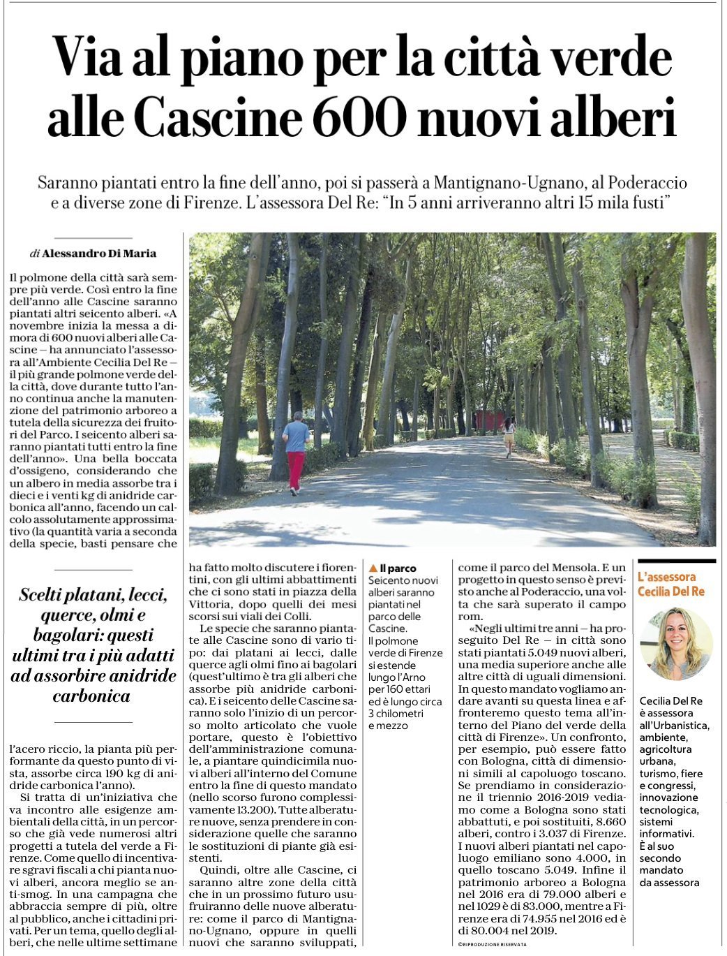 Via al piano per la città verde alle Cascine 600 nuovi alberi | La Repubblica Firenze