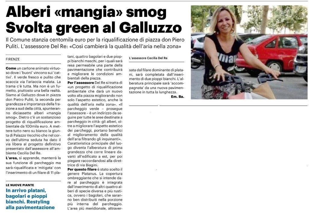 Alberi “mangia” smog Svolta green al Galluzzo | La Nazione Firenze