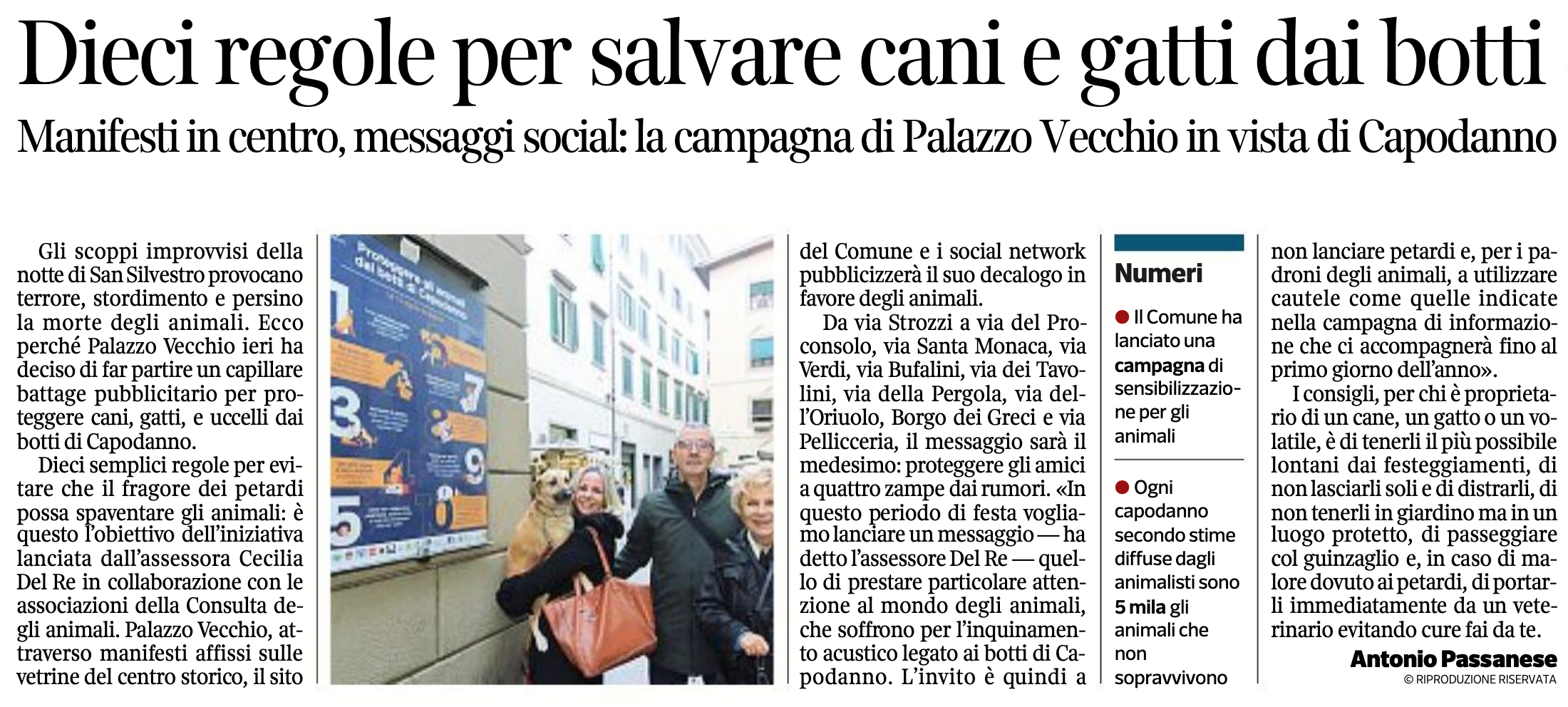 Dieci regole per salvare cani e gatti dai botti| La Repubblica Firenze, Corriere Fiorentino, Nazione