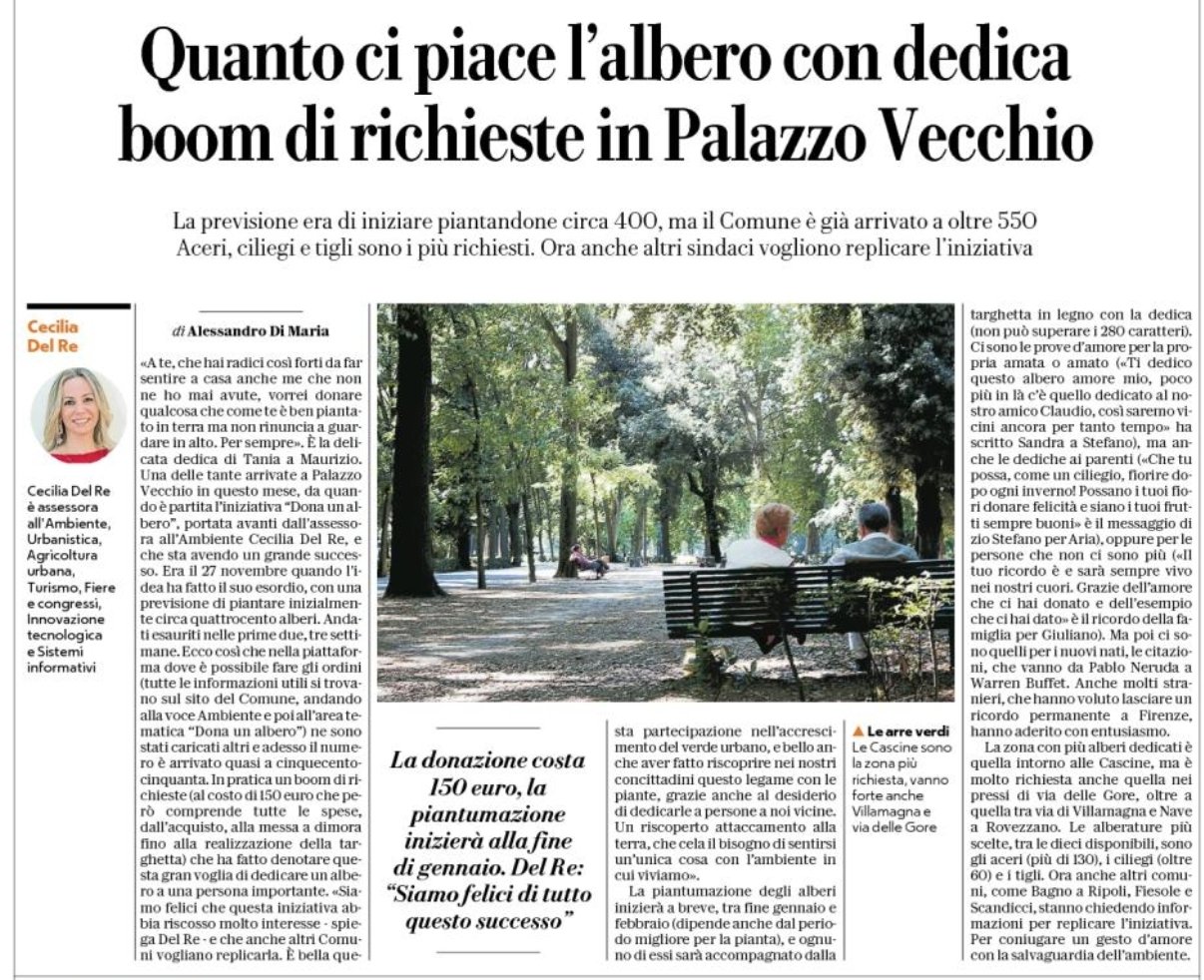 Quanto ci piace l’albero con dedica boom di richieste in Palazzo Vecchio| La Repubblica Firenze
